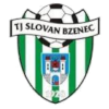 https://img.czyjgk.com/img/football/team/1e3cab433aa0780200515cc345ba594e.png