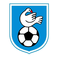 https://img.czyjgk.com/img/football/team/1fde56f986faa3470578e249b48a5fef.png