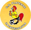 https://img.czyjgk.com/img/football/team/63b0933cc303927659846a4ed54b1522.png