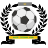 https://img.czyjgk.com/img/football/team/6dc6d59af2f0962597b412473a6708ee.png